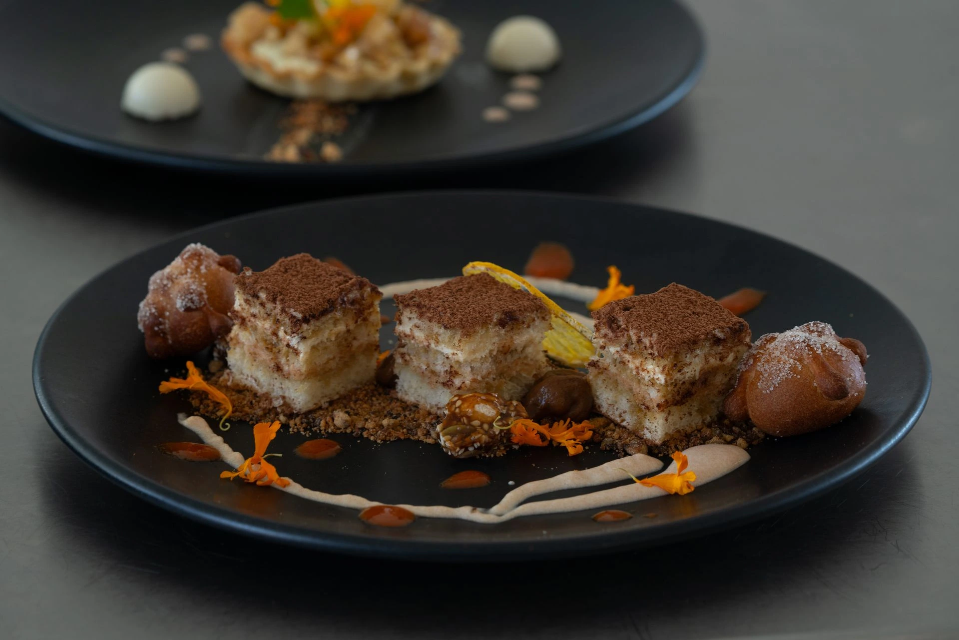 Plated Culinary Artistry